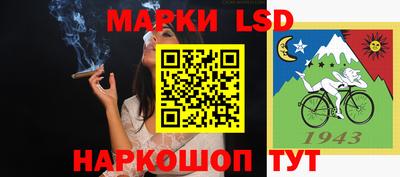 индика Краснознаменск