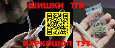 индика Краснознаменск