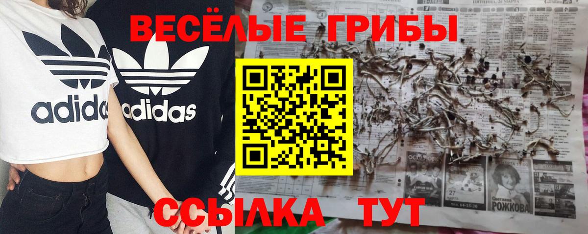 МЕФ кристаллы  ГАШИШ  Вход с VPN  Бошки Шишки  Кимовск  Меф  ЭКСТАЗИ 