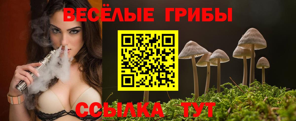 Псилоцибиновые грибы GOLDEN TEACHER Кимовск