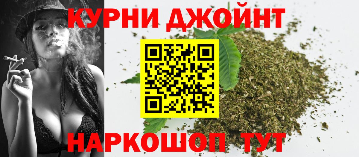 Бошки Шишки план Кимовск
